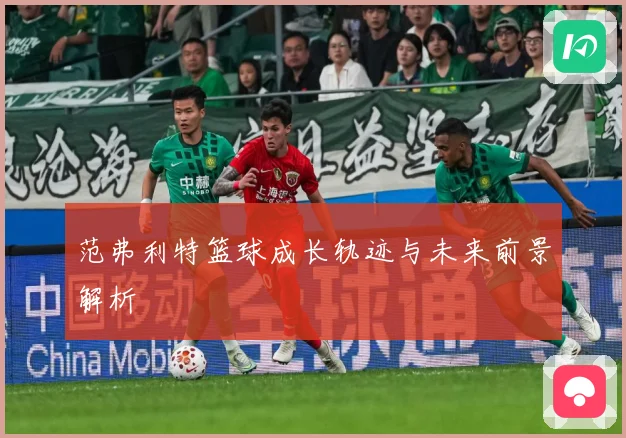 范弗利特篮球成长轨迹与未来前景解析